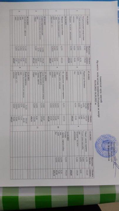 Он күндік ас мәзірі